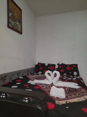 Apartament Sighișoara